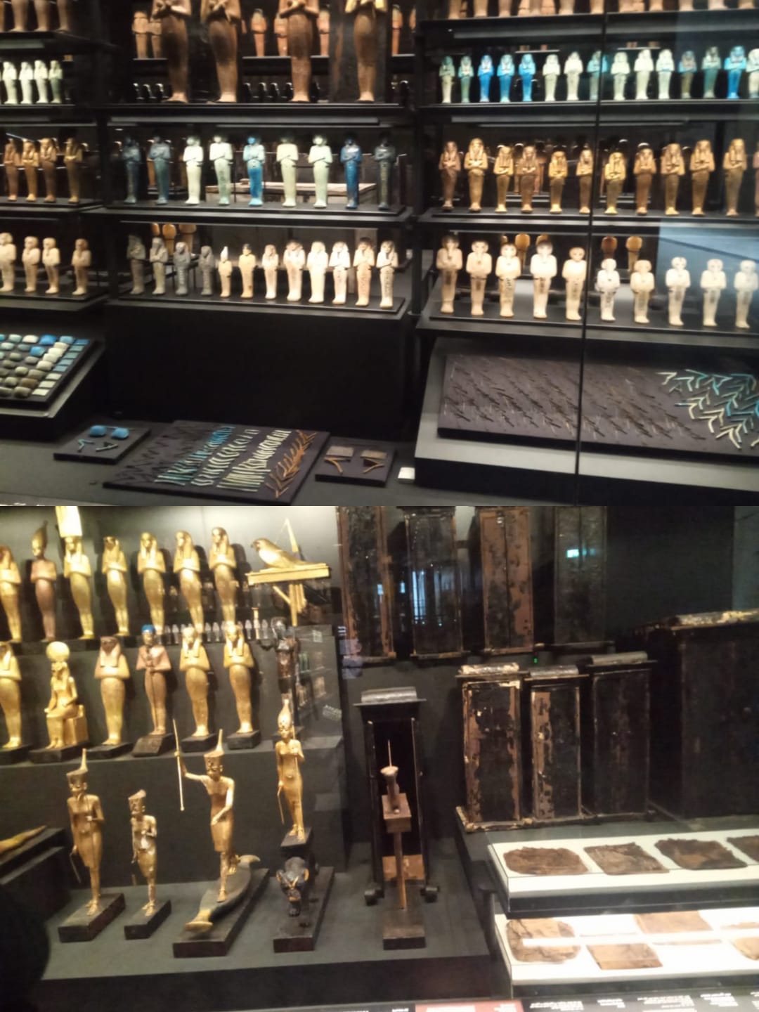 WhatsApp Image 2025 11 26 at 9.48.14 AM