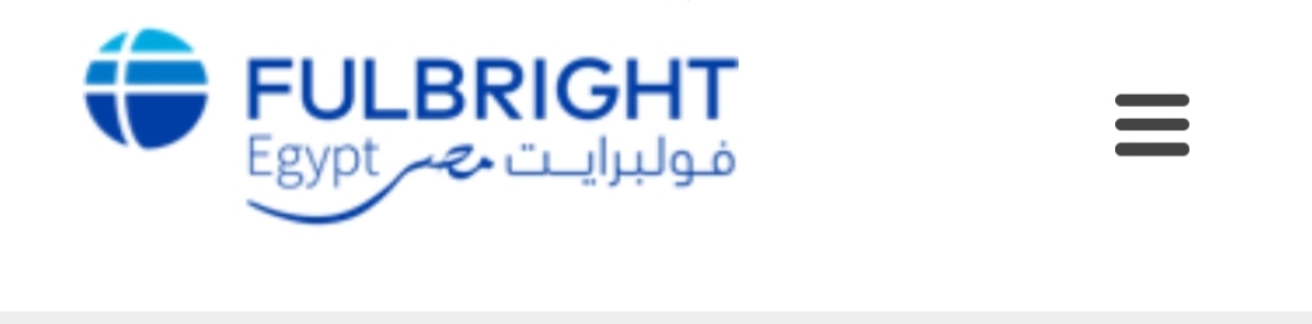 Workshop from Fulbright egypt about  junior faculty development program onlinet