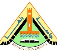 الاستبيان المصري للمشاركات الطلابية